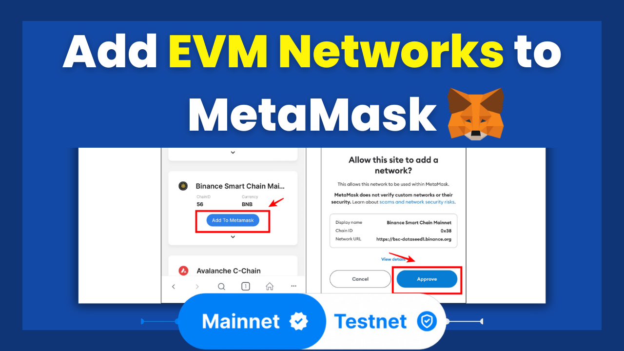 How To Add EVM-Powered Networks to MetaMask