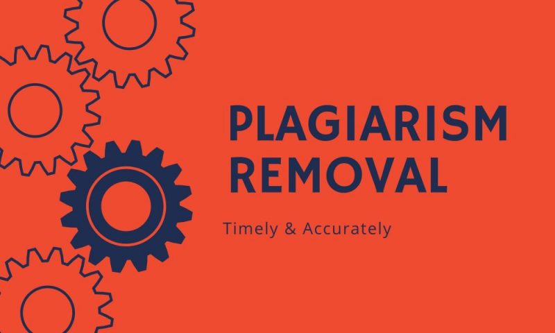 Plagiarismremover.net Review: Is It Useful for Writers?